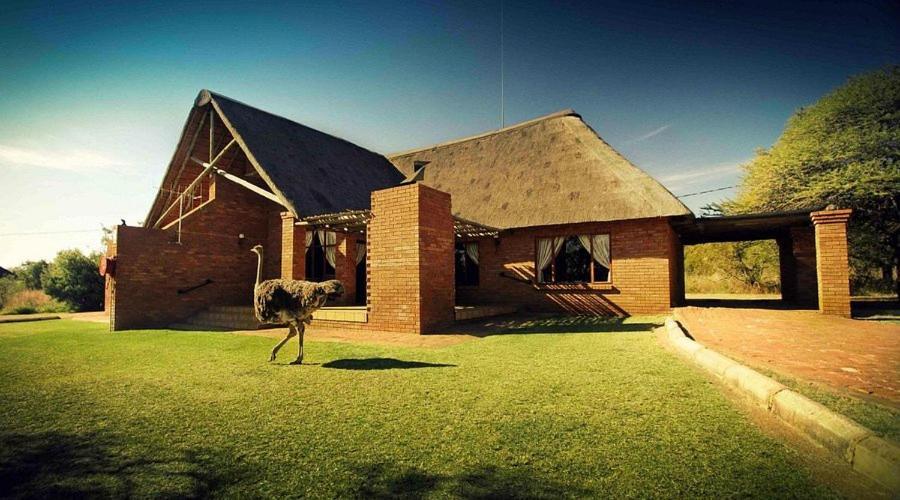 Monateng Safari Lodge Wallmannstal Екстер'єр фото